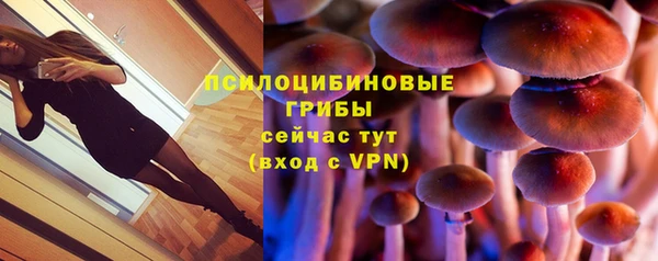 экстази Снежногорск