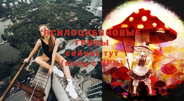 прущая мука Верхний Тагил