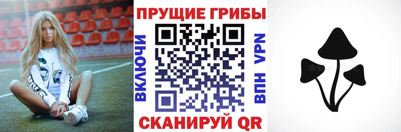 Псилоцибиновые грибы GOLDEN TEACHER  Всеволожск 
